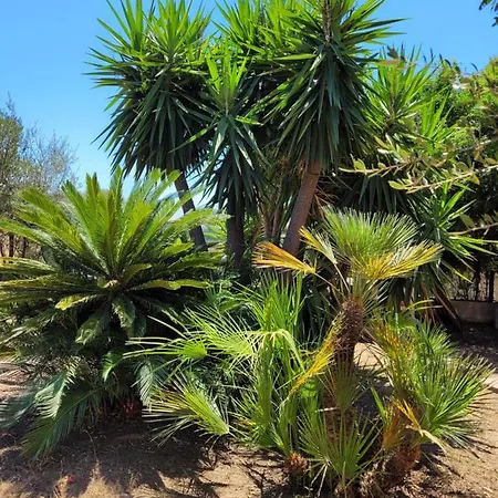 Casa Del Mare Casa de Férias Villasimius