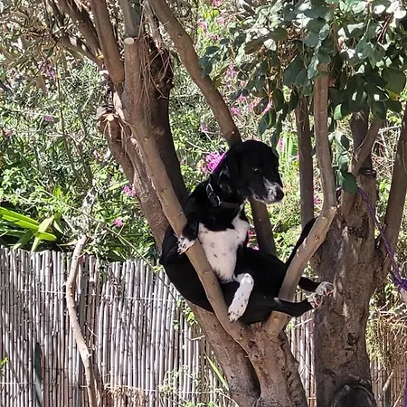 Casa Del Mare * Villasimius